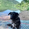 SUNNY: Kuschelmaus mit Köpfchen
