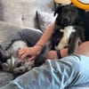 SUNNY: Kuschelmaus mit Köpfchen