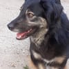 LILOU