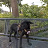💕Meena💕 sucht ein schönes Zuhause