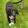 Fröhliche Luna sucht ihre Familie