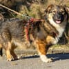 Hilde