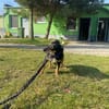 Zorza