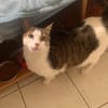 SISKO