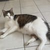 SISKO