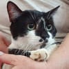 benson