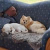 Riki  6,5 Jahre alter Pekinese