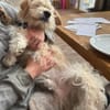 Lucky💗wartet in 78247 Schlatt am Randen