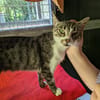 BELLA (réservé)