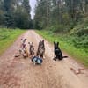 Charakterhund Lizu sucht eigene Familie