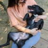 ELVIS möchte adoptiert werden