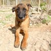 Hübsche RONJA wartet auf ihr Glück