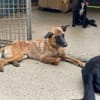Hübsche RONJA wartet auf ihr Glück