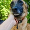 Hübsche RONJA wartet auf ihr Glück