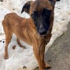 Hübsche RONJA wartet auf ihr Glück