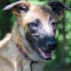 Hübsche RONJA wartet auf ihr Glück