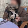 Süße Tammi sucht liebevolles Zuhause