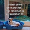 Ganz liebe Tiaga sucht ihr Körbchen