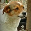 LOKI - ein -Gott zwischen den Welten-