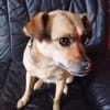 Bimba (45 cm) ist ein sanfter Schatz!