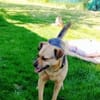 Bimba (45 cm) ist ein sanfter Schatz!