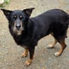 Liebe sanfte ANNA