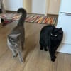 Mimi & Dean ein ruhiges Dreamteam
