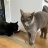 Mimi & Dean ein ruhiges Dreamteam
