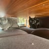 Mimi & Dean ein ruhiges Dreamteam