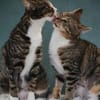 Judy & Zuza ein tolles Dreamteam