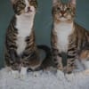 Judy & Zuza ein tolles Dreamteam