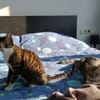 Judy & Zuza ein tolles Dreamteam