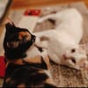 Pauline & Maxi Mama-Sohn Duo