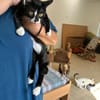 Buffy und Mitsi aus dem Tierschutz