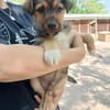 Jamy sucht Familienanschluß