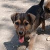 Jamy sucht Familienanschluß