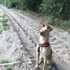 Glücksgriff liebe Toto sucht Glückfamily