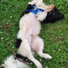 Nelson, gute Laune Paket