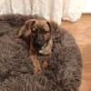 Lenny ein liebes Mädchen