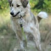 Heidi - etwas Besonderes
