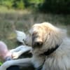 Heidi - etwas Besonderes