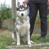 REIKO