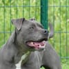 ROSCO