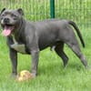 ROSCO