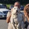 In 85567 auf Pflegestelle: JOY