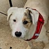 MIRO - willst du mein neuer Freund sein?
