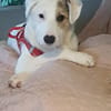 MIRO - willst du mein neuer Freund sein?