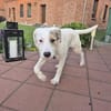 MIRO - willst du mein neuer Freund sein?