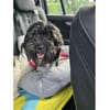 Whoopi - wartet in 97440 Werneck