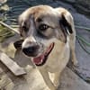 Luna sucht Dich